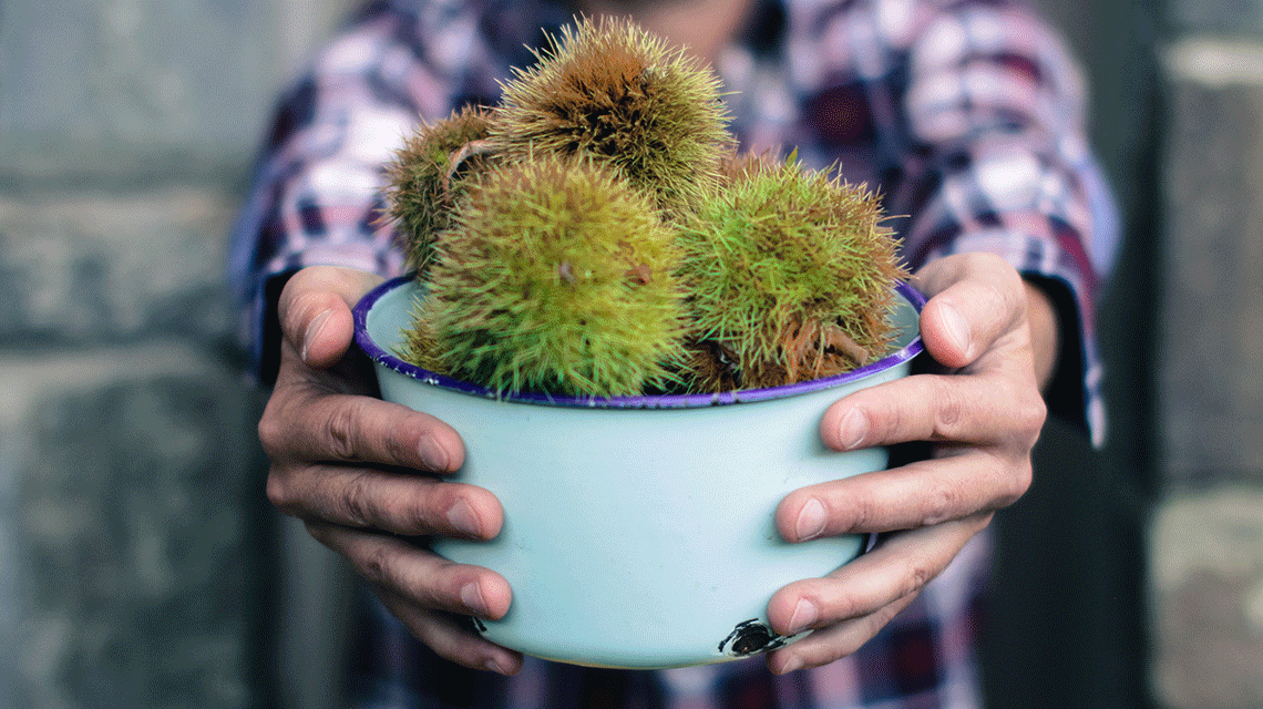 καρπενησι ξενοδοχειο